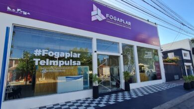 Fogaplar2