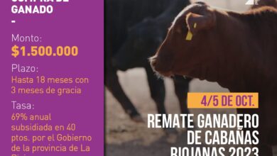 Cabaniasrio