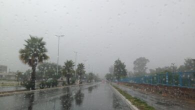 Lluvia3