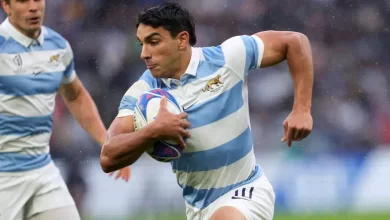 Pumas