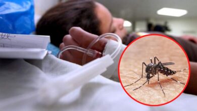Dengue