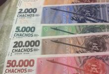 Chachos2