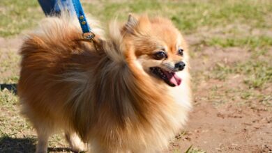 WhatsApp Image 2024 08 27 At 09.21.59 1