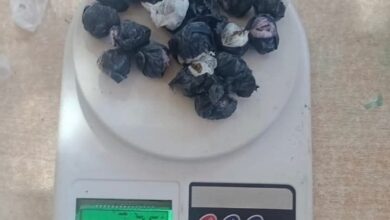 Marihuana