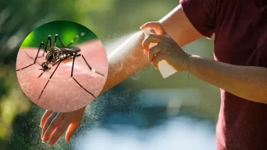 Dengue