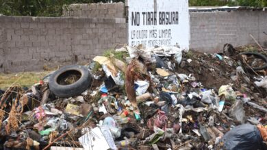 WhatsApp Image 2026 04 16 At 09.30.42 2